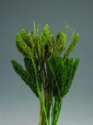 d-f029